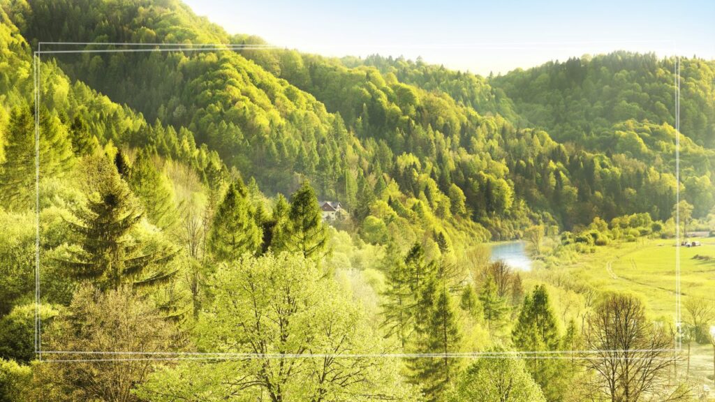 Zielona szkoła Muszyna 4 dni (3 noclegi) | Bartnik, Park Linowy Panda, Farma Lama, Zamek Muszyna + Ciężkowice: Skamieniałe Miasto, CEE i Ścieżka w Koronach Drzew