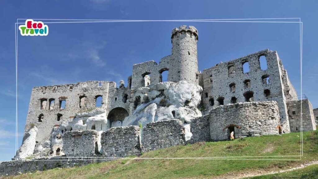 Wycieczka szkolna: Pustynia Błędowska i Ogrodzieniec 1 dzień | Żywa Historia + ognisko