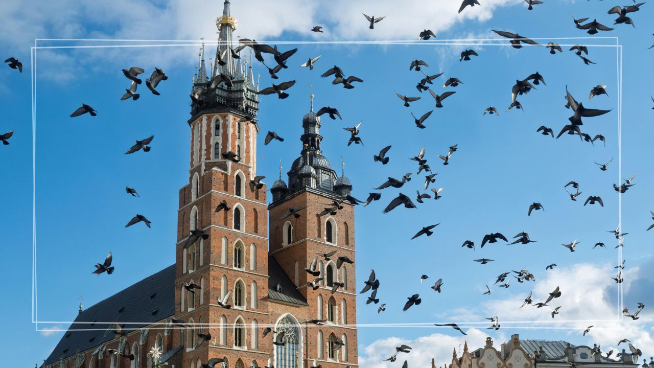 Wycieczka szkolna 2 dni Kraków + Energylandia + Ojców (wariant) | Wawel, Rynek i całodniowy park rozrywki