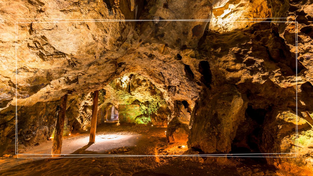 Wycieczka szkolna 2 dni Kraków + Energylandia + Ojców (wariant) | Wawel, Rynek i całodniowy park rozrywki