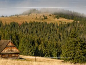 Wycieczka szkolna Brama w Gorce + Skansen w Chabówce - 1 dzień | ścieżka edukacyjna, zajęcia przyrodnicze i kolejowy skansen + ognisko
