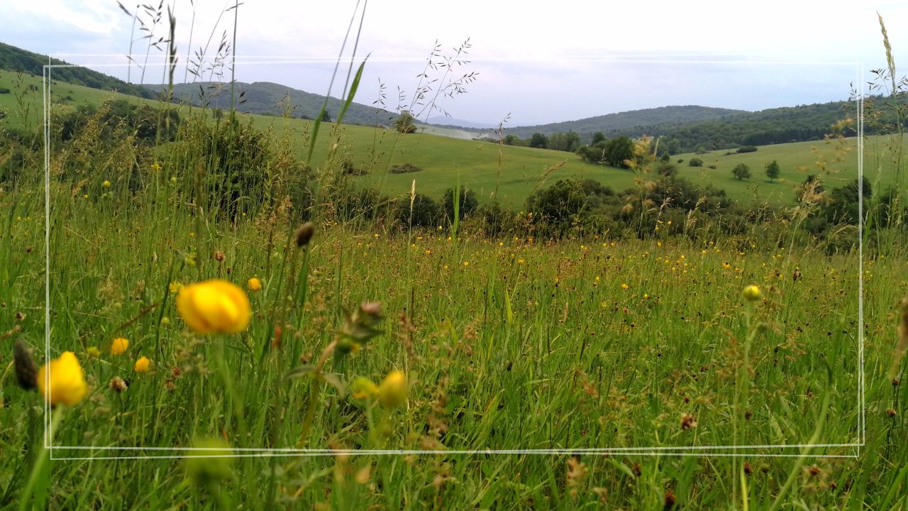 Wycieczka szkolna Podkarpacie – 2 dni | Ciężkowice (CEE + Skamieniałe Miasto) + Magurski PN + Karpacka Troja + nocleg w Iwoniczu