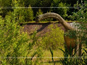 Zielona szkoła Góry Świętokrzyskie 5 dni | Bałtów (Jurasia), Kurozwęki (Safari bizon), Święty Krzyż, Leonarda Da Vinci + nocleg w Bielinach