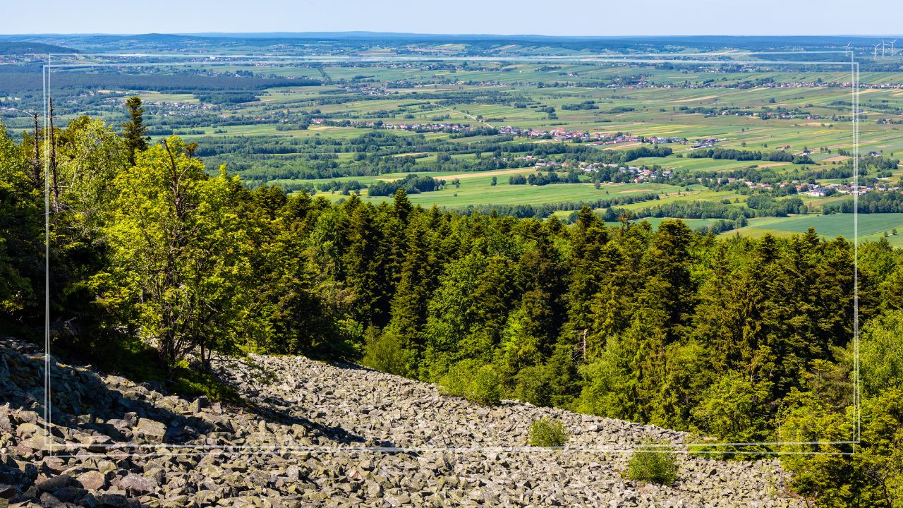 Zielona szkoła Góry Świętokrzyskie 5 dni | Bałtów (Jurasia), Kurozwęki (Safari bizon), Święty Krzyż, Leonarda Da Vinci + nocleg w Bielinach