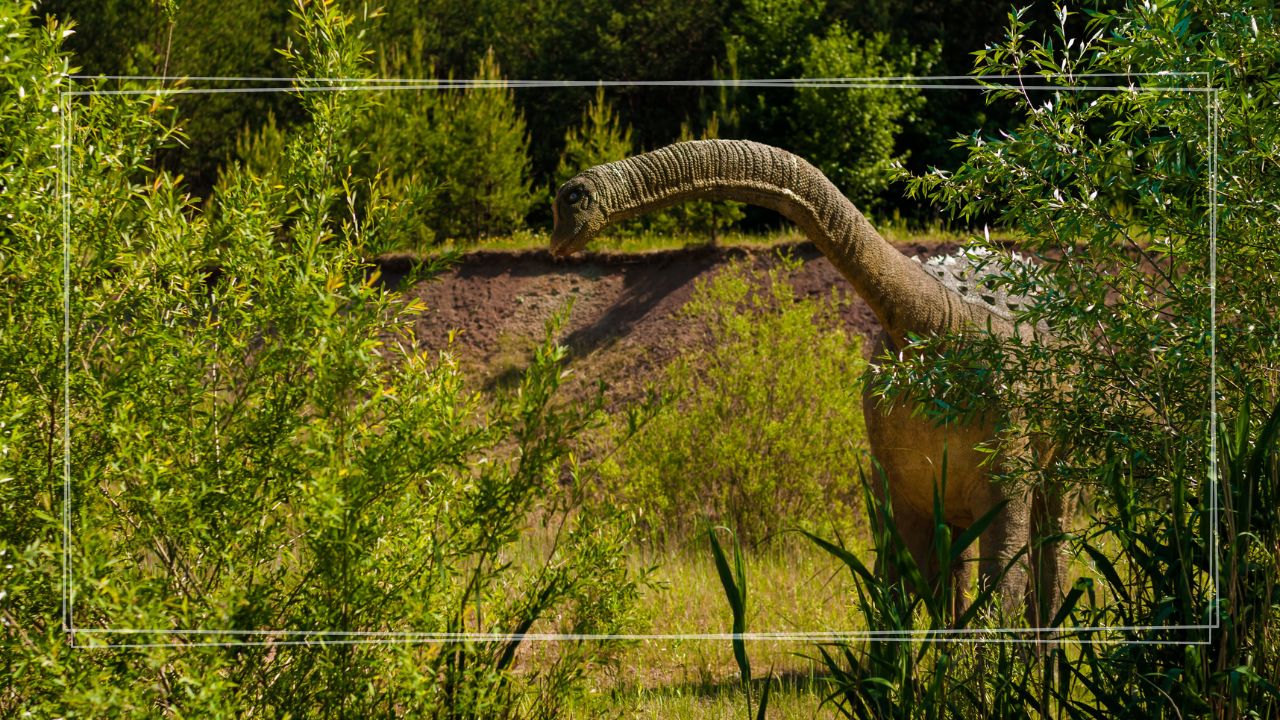Zielona szkoła Góry Świętokrzyskie 5 dni | Bałtów (Jurasia), Kurozwęki (Safari bizon), Święty Krzyż, Leonarda Da Vinci + nocleg w Bielinach