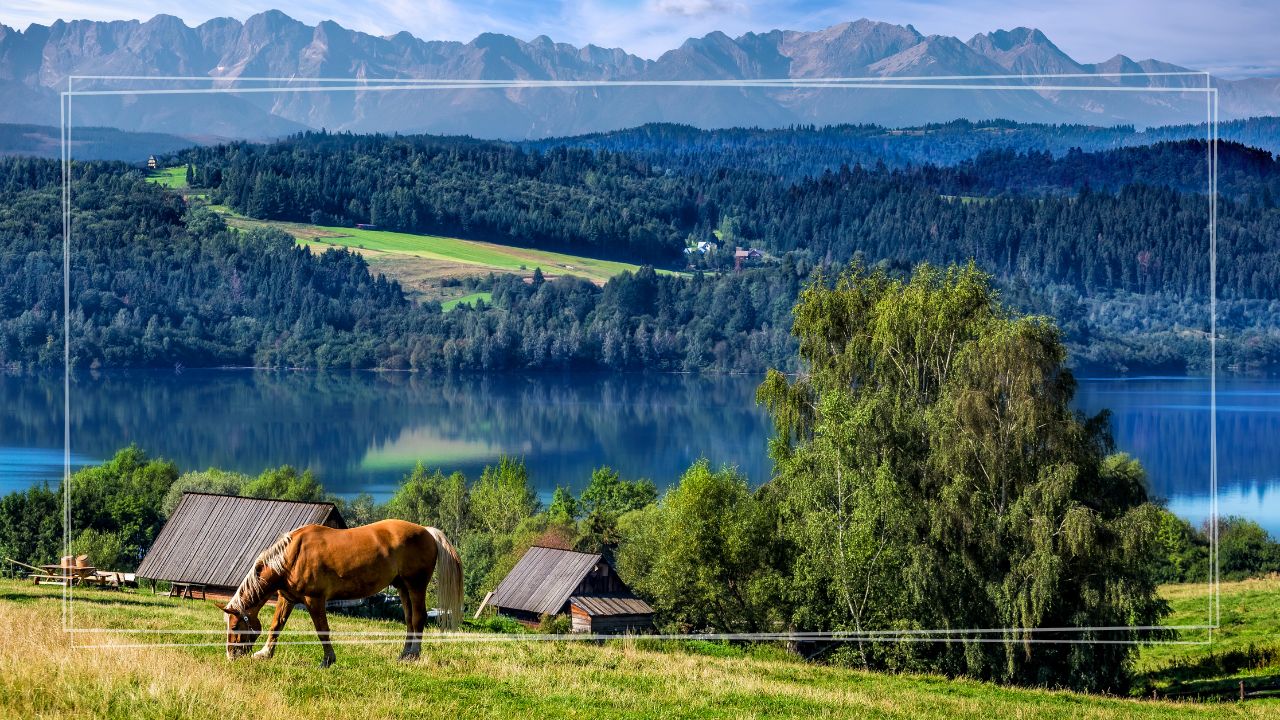 Wycieczka szkolna Szczawnica 1 dzień | Niedzica (Zamek) + rejs po Zalewie Czorsztyńskim + Wąwóz Homole + czas wolny w Szczawnicy (Palenica opcjonalnie) - obrazek 5