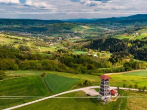 Zielona szkoła Muszyna 3 dni – Krynica, Farma Lama, Park Linowy Panda i Ciężkowice